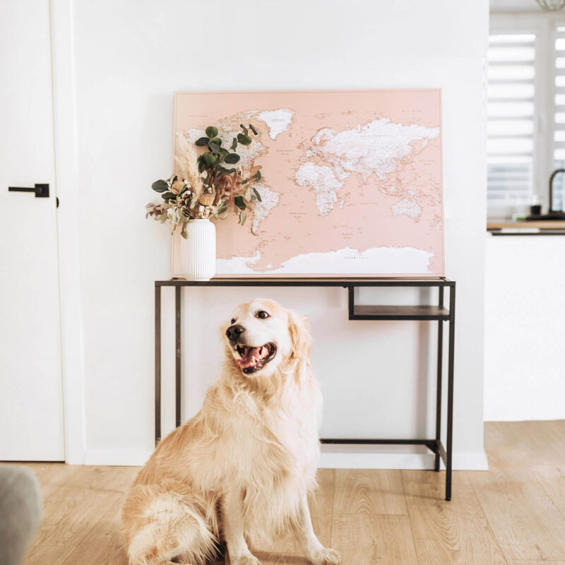 altrosa trip map world weltkarte auf leinwand zum pinnen altrosa trip map world weltkarte auf leinwand zum pinnen