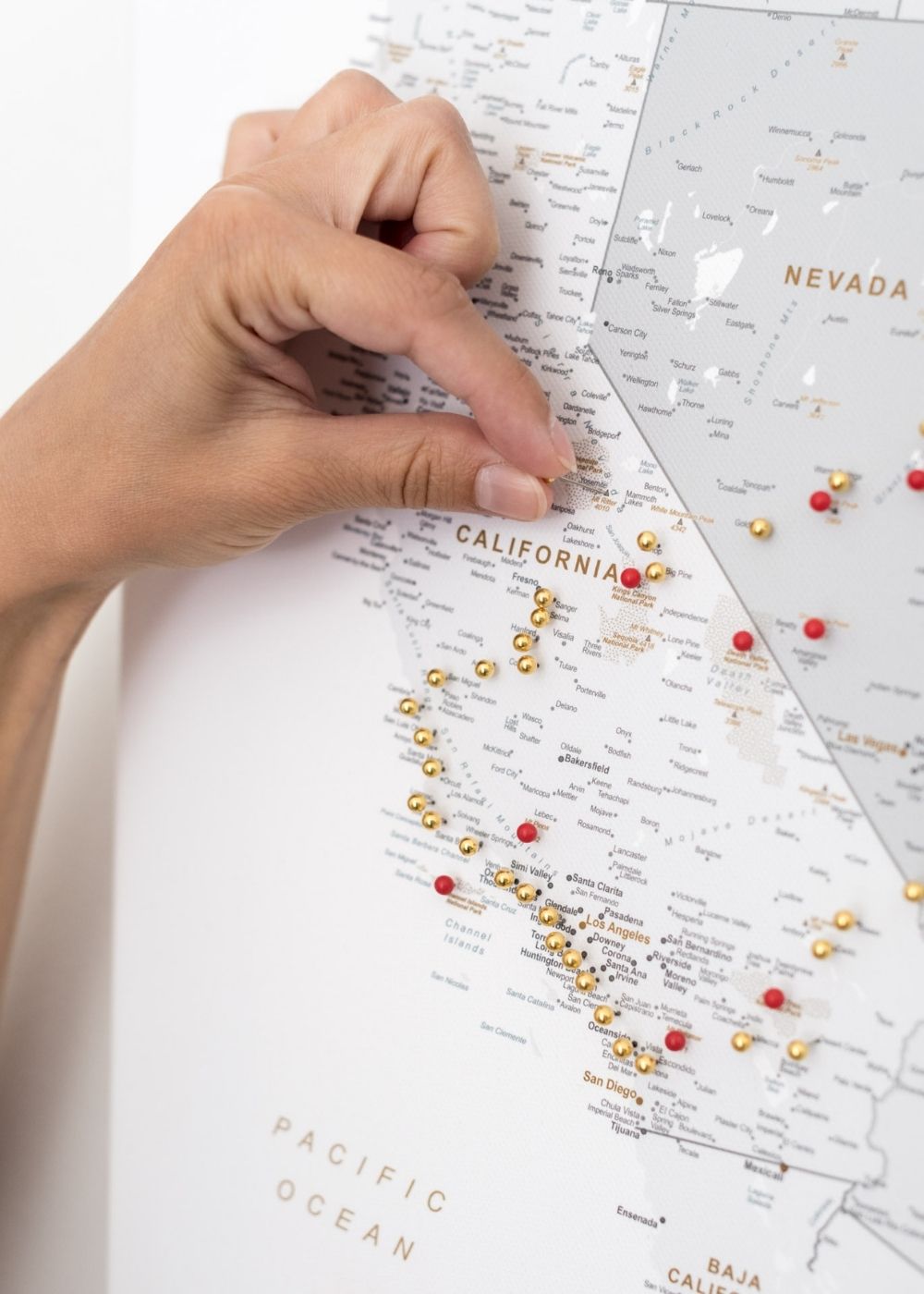 trip map pins